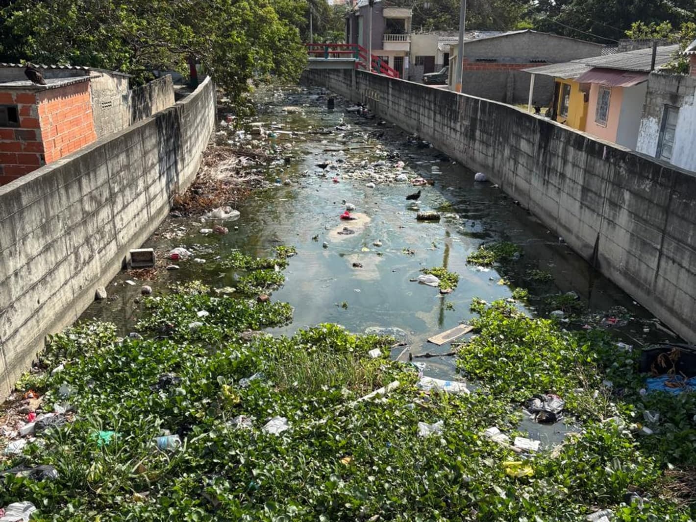 Canal urbano encajonado entre muros de concreto, con residuos plásticos y buchón de agua cubriendo el cauce y sus orillas